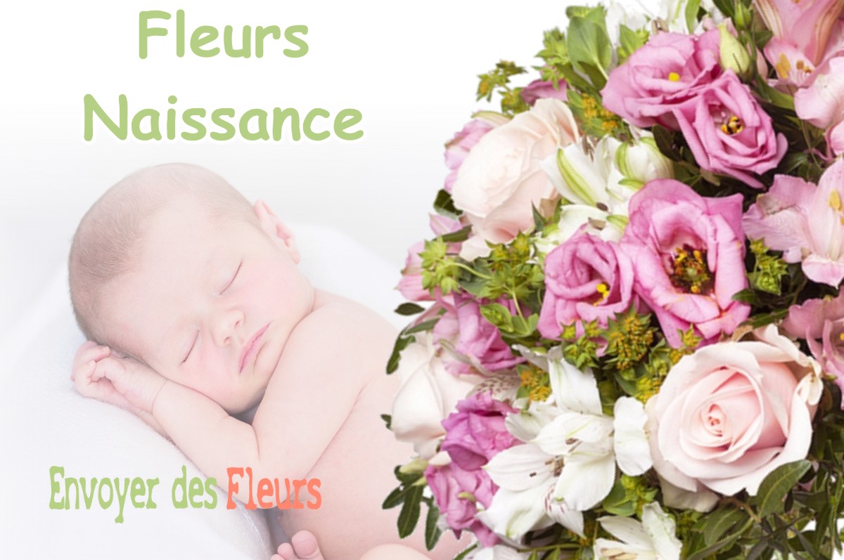 lIVRAISON FLEURS NAISSANCE à GARIN